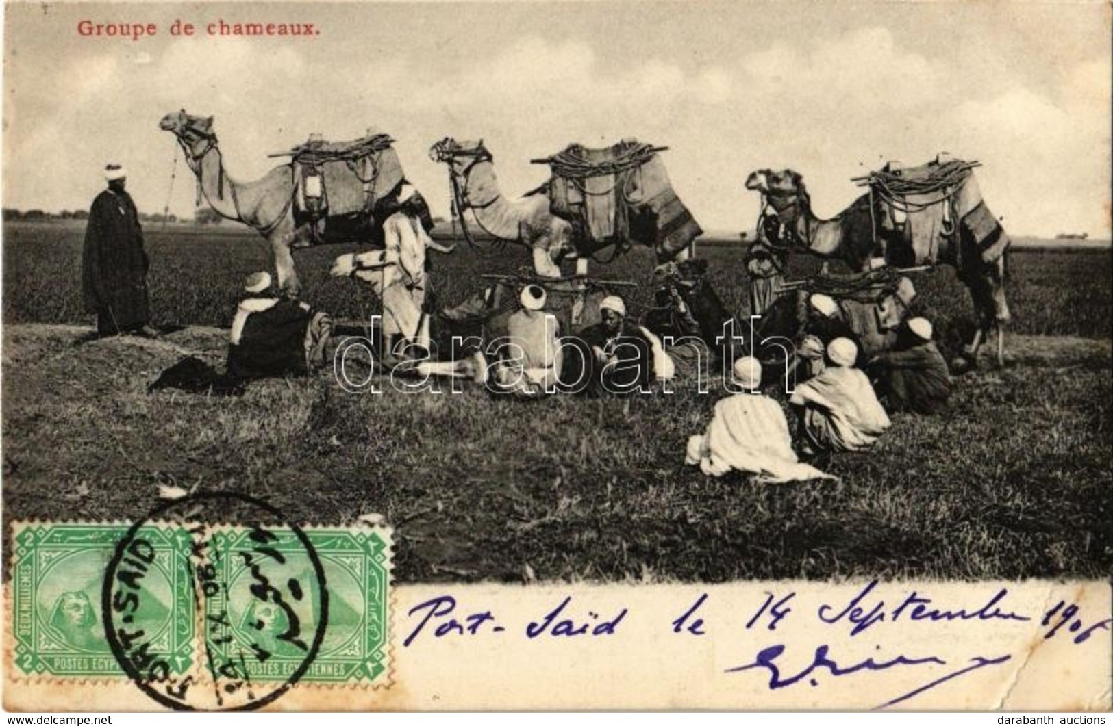 T2/T3 1906 Groupe De Chameaux / Group Of Camels, Egyptian Folklore. TCV Card (EK) - Zonder Classificatie