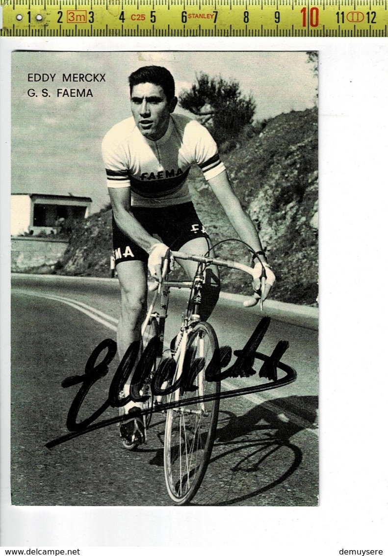 Ren 800 - EDDY MERCKX G. S. FAEMA - Cyclisme