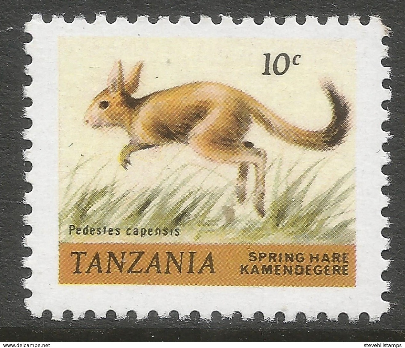 Tanzania. 1980 Wildlife. 10c MNH. SG 307 - Tanzania (1964-...)