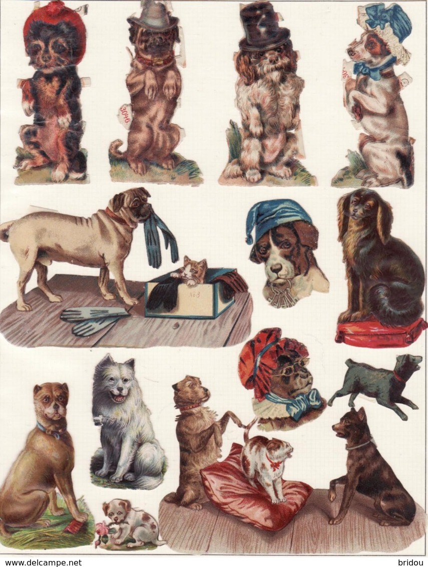 Découpis   Lot De 13    Chiens       12 X 8 Cm Le Plus Grand - Autres & Non Classés