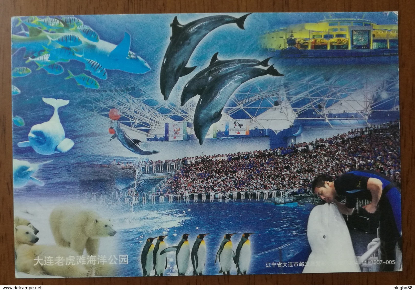 Beluga Whale,polar Beer,penguin,dolphin,shark,fish,CN 12 Dalian Ocean World Aquarium Advertising Pre-stamped Card - Dolphins