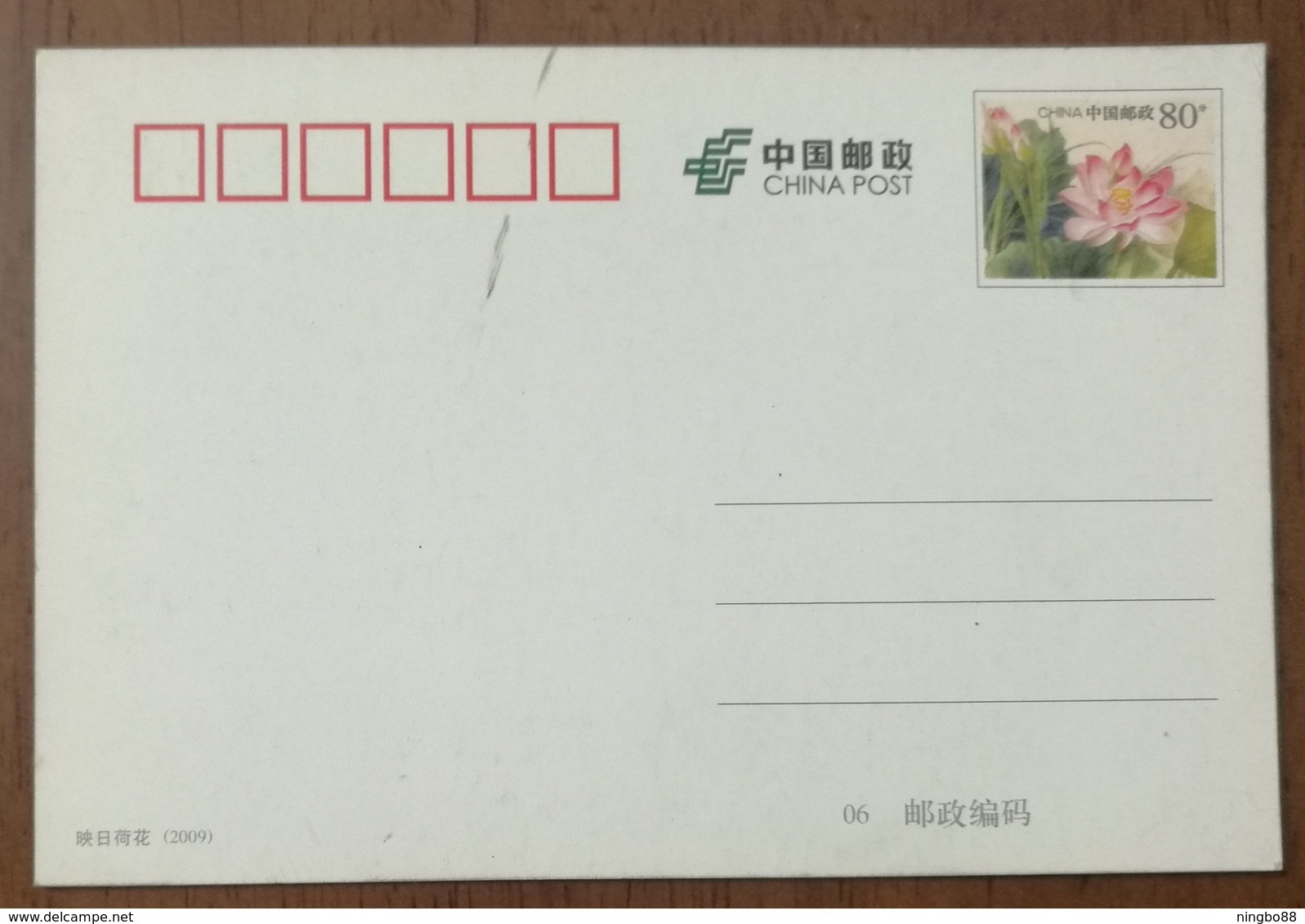 Beluga Whale,polar Beer,penguin,dolphin,shark,fish,CN 12 Dalian Ocean World Aquarium Advertising Pre-stamped Card - Dolphins