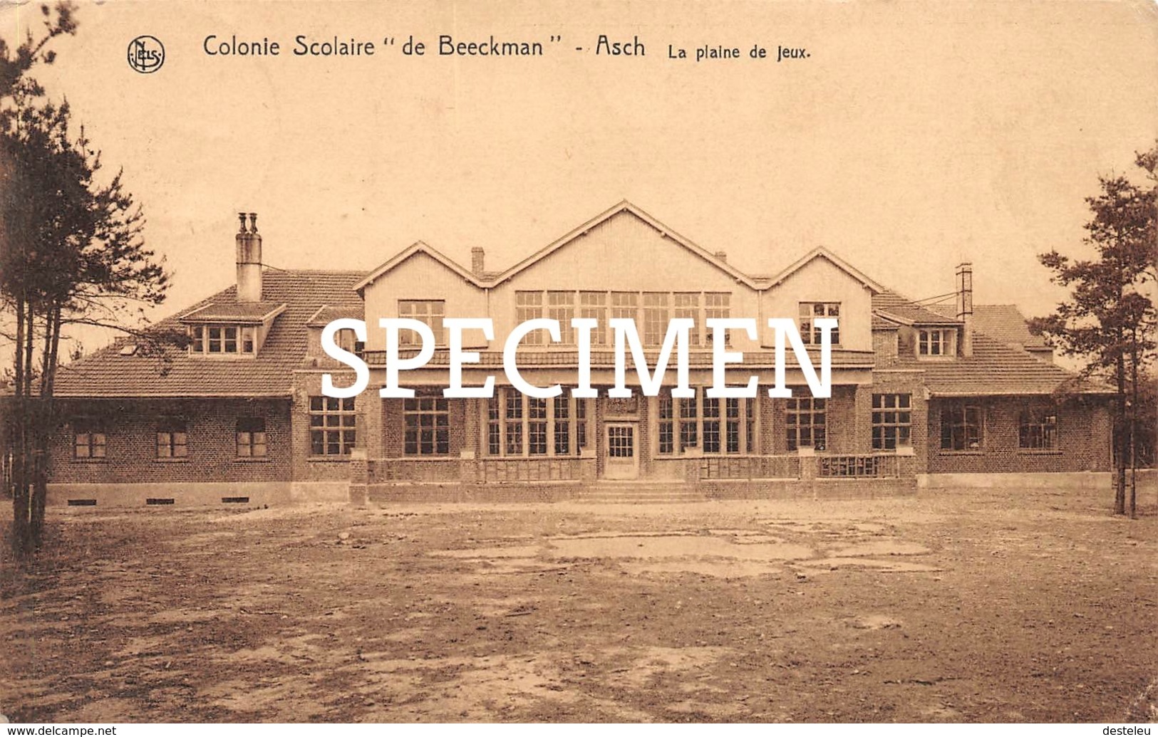 Colonie Scolaire De Beeckman - La Plaine De Jeux - Asch - Asse - Asse