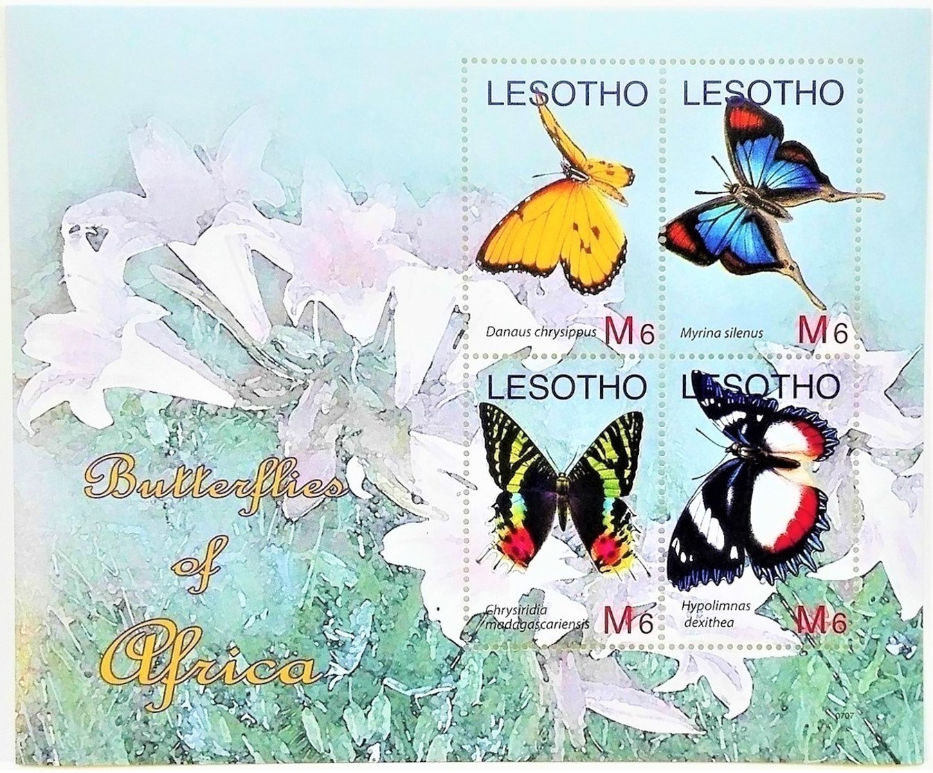 Lesotho 2007**Mi.1981-84 Butterflies , MNH [3;37] - Schmetterlinge