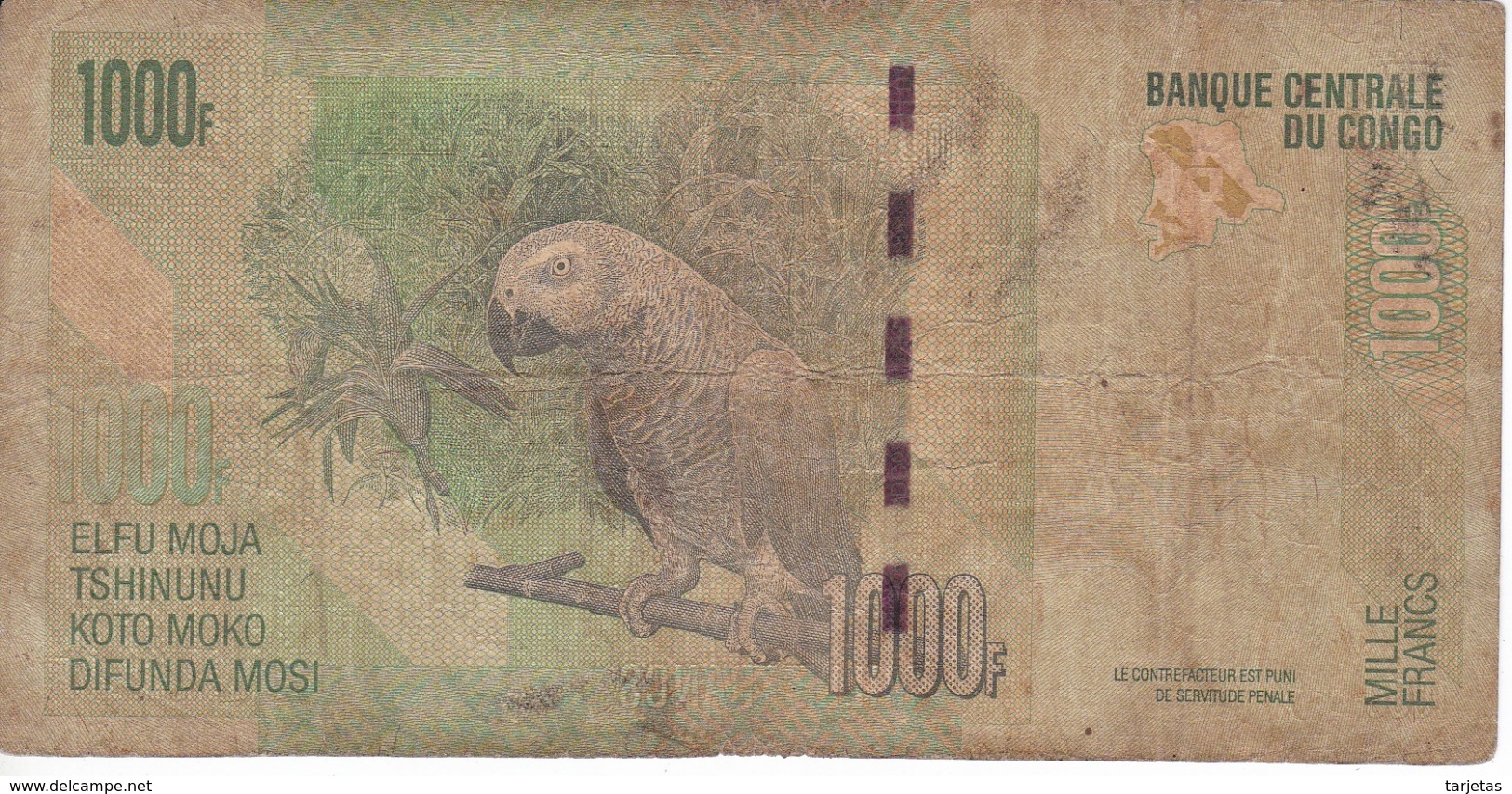 BILLETE DE EL CONGO DE 1000 FRANCOS DEL AÑO 2013 (BANKNOTE) LORO-PARROT - República Democrática Del Congo & Zaire