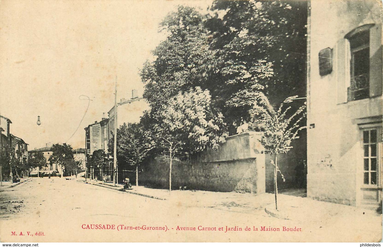 TARN ET GARONNE  CAUSSADE  Avenue Carnot Et Jardin - Caussade