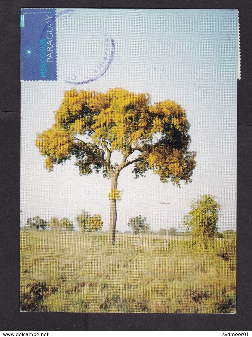 Paraguay: Picture Postcard To Germany, 2005, 3 Stamps, Mercosur, Flag, Space, Rock Statue, Heritage (damaged, See Scan) - Paraguay