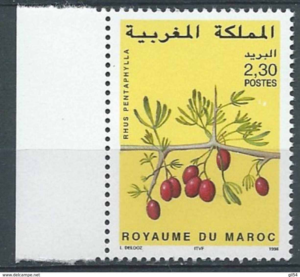 Maroc - Yvert N° 1219**   - Bce21818 - Morocco (1956-...)