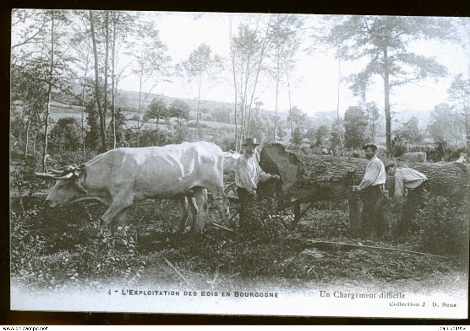 SES ALENTOURS L EXPLOITATION DES BOIS - Sens