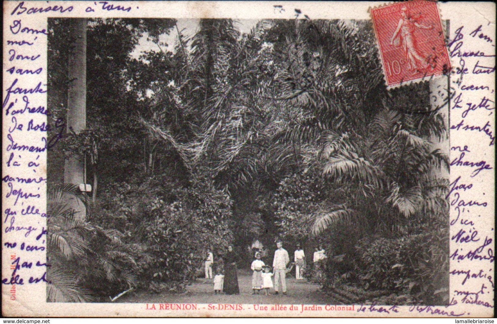 La Reunion, St Denis, Une Allee Du Jardin Colonial - Saint Denis