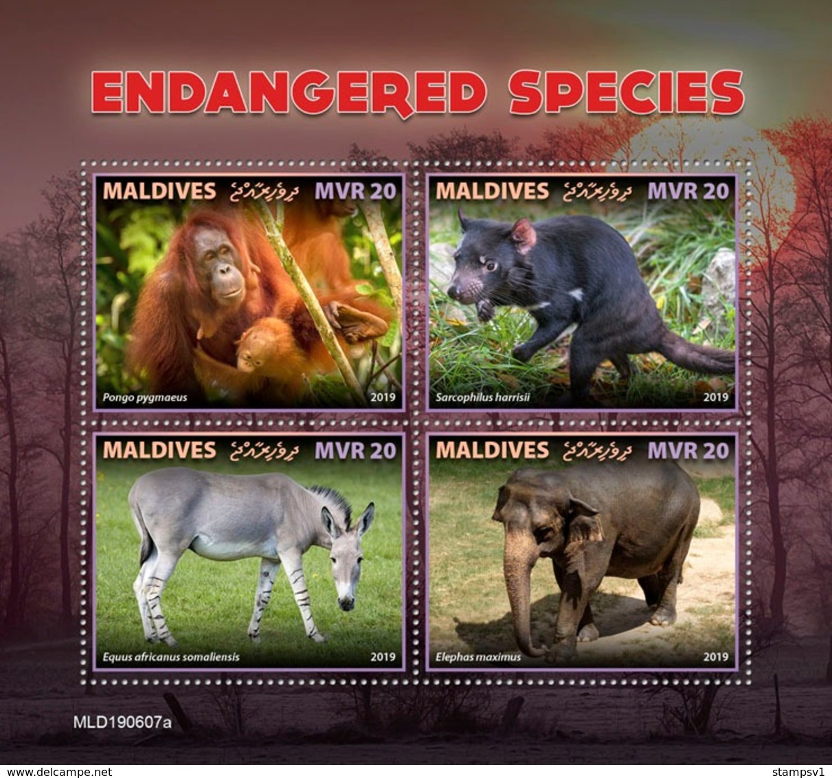 Maldives. 2019 Endangered Species. (0607a)  OFFICIAL ISSUE - Chimpancés