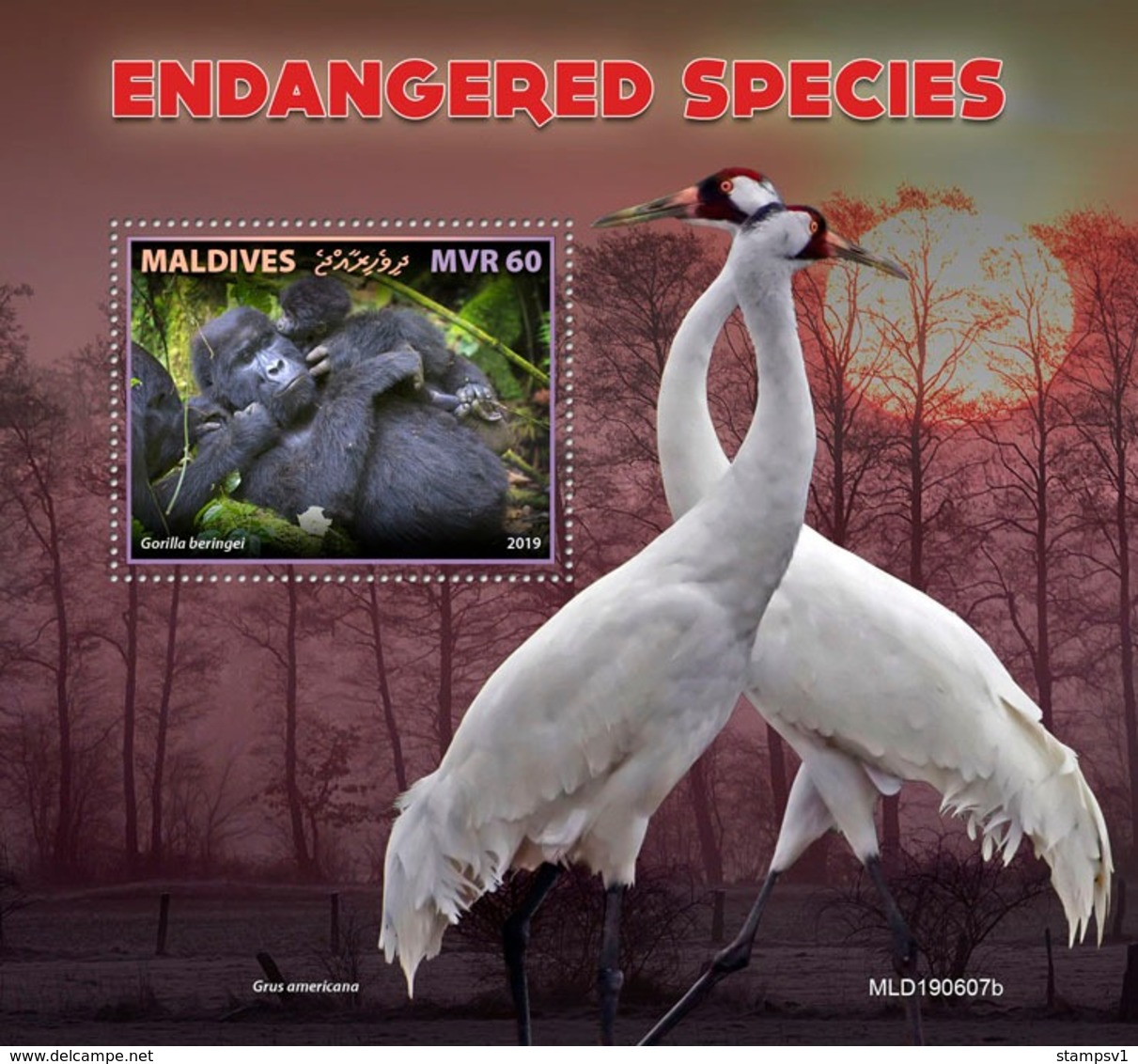 Maldives. 2019 Endangered Species. (0607b)  OFFICIAL ISSUE - Gorilles