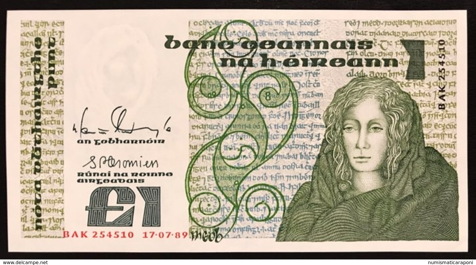 Irlanda Ireland 1 Pound 1989 Q.fds LOTTO 2776 - Irlanda