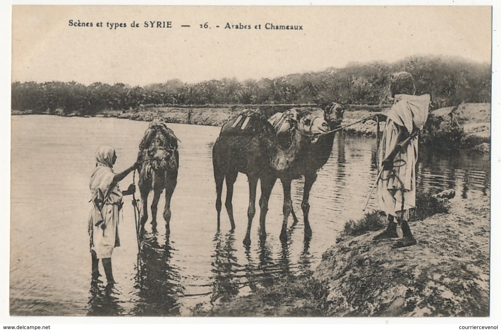 CPA - SYRIE - Arabes Et Chameaux - Syria