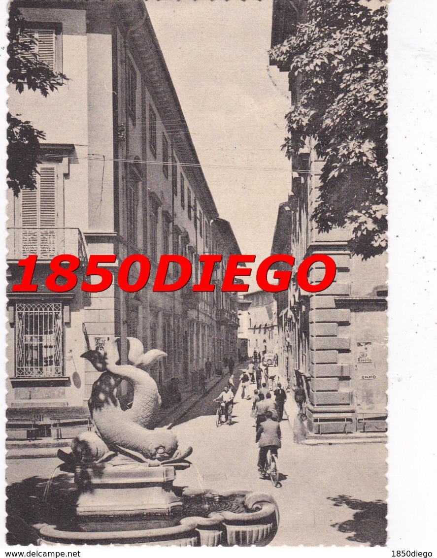 PRATO - VIA RINALDESCA DEI DELFINI  F/GRANDE VIAGGIATA 1953 ANIMAZIONE - Prato