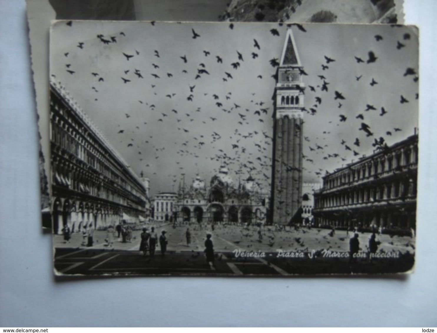 Italië Italy Italien Venetië Venice  Piccioni Birds - Venetië (Venice)