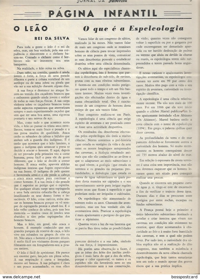 Abrantes - Jornal Da Favorita De 1 De Dezembro De 1954 - Chocolate E Biscoitos -  Imprensa - Publicidade. Santarém. - Cooking & Wines