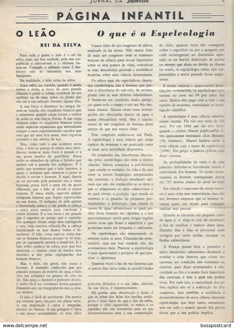 Abrantes - Jornal Da Favorita De 1 De Dezembro De 1954 - Chocolate E Biscoitos -  Imprensa - Publicidade. Santarém. - Küche & Wein