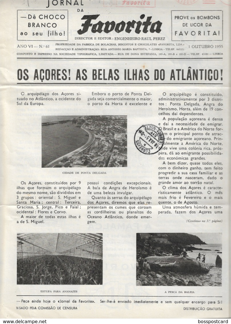 Açores - Ponta Delgada - Angra Do Heroísmo - Jornal Da Favorita De 1 De Outubro De 1955 - Pesca Da Baleia  - Whale - Cuisine & Vins