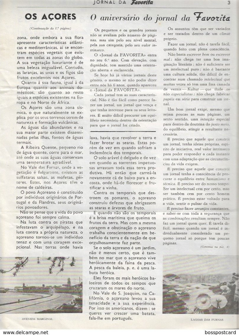 Açores - Ponta Delgada - Angra Do Heroísmo - Jornal Da Favorita De 1 De Outubro De 1955 - Pesca Da Baleia  - Whale - Cooking & Wines