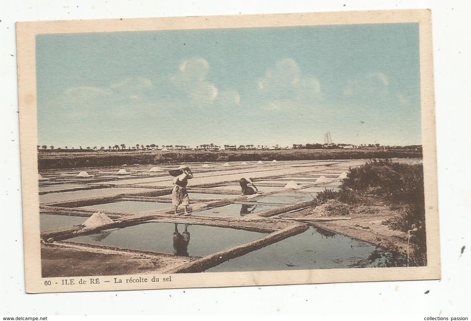 Cp, Agriculture,17 , ILE DE RE ,la Récolte Du Sel ,  Vierge - Culturas