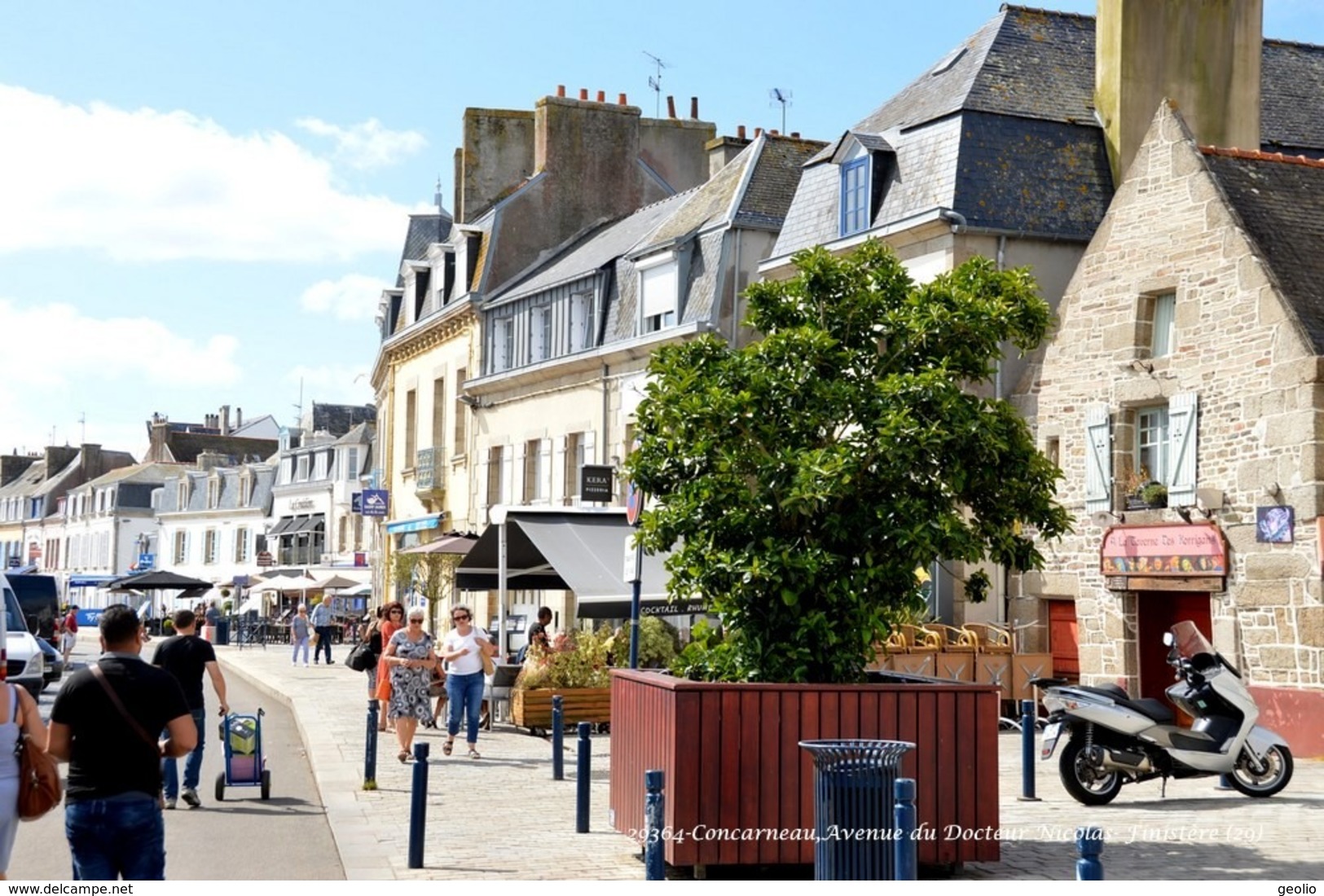 Concarneau (29)- Avenue Du Docteur Nicolas (Edition à Tirage Limité) - Cléder