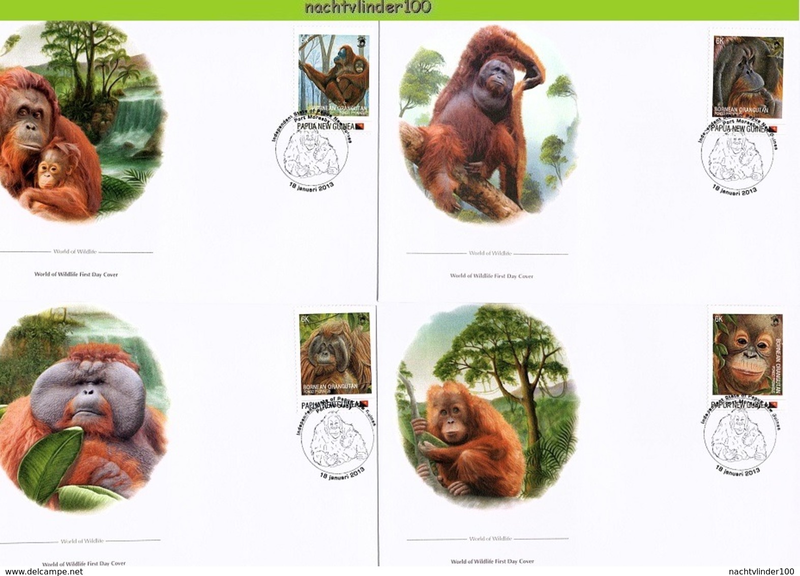 Nfd02fb FAUNA AAP APEN URANGUTAN MONKEYS MAMMALS APES AFFEN SINGES PAPUA NEW GUINEA 2013 FDC's - Singes