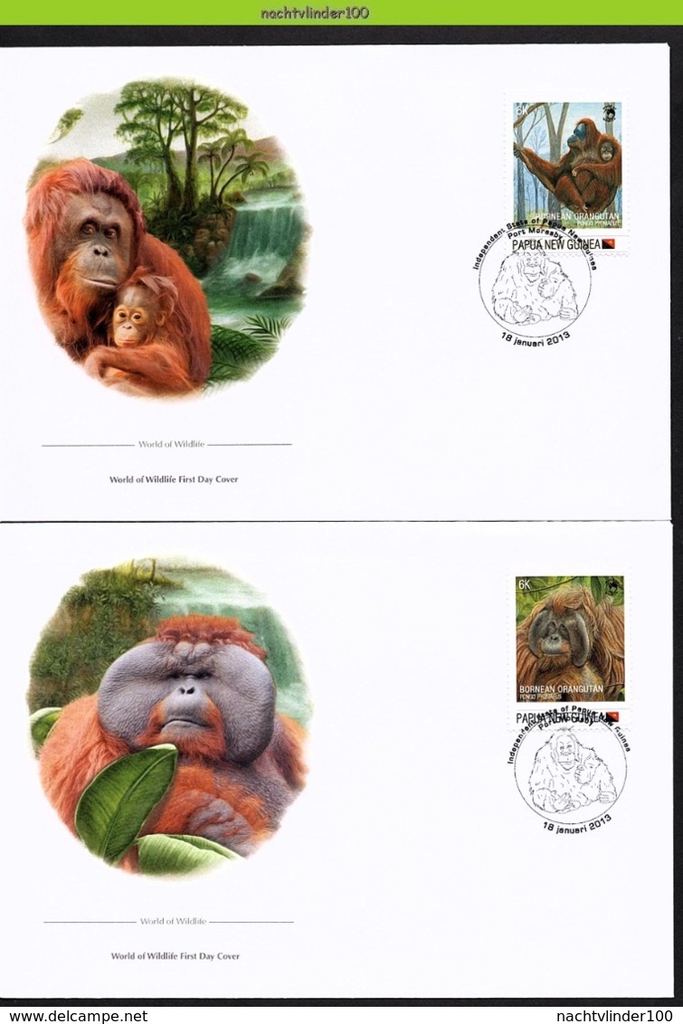 Nfd02fb FAUNA AAP APEN URANGUTAN MONKEYS MAMMALS APES AFFEN SINGES PAPUA NEW GUINEA 2013 FDC's - Singes