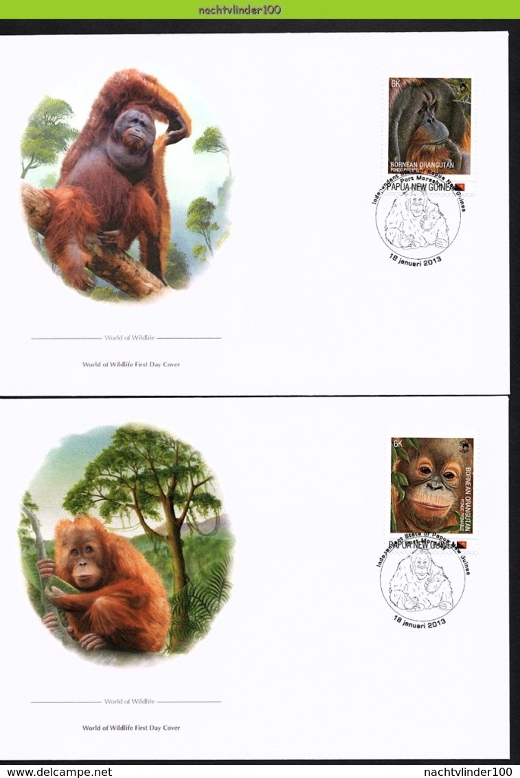 Nfd02fb FAUNA AAP APEN URANGUTAN MONKEYS MAMMALS APES AFFEN SINGES PAPUA NEW GUINEA 2013 FDC's - Apen