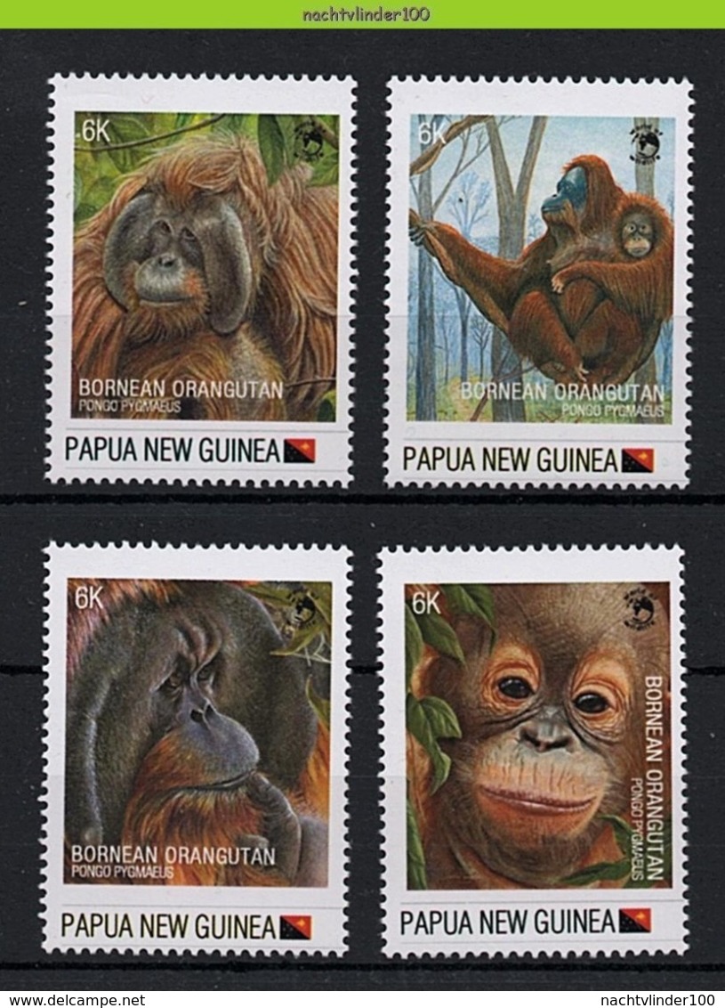 Nfd02s FAUNA AAP APEN URANGUTAN MONKEYS MAMMALS APES AFFEN SINGES PAPUA NEW GUINEA 2013 PF/MNH # - Apen