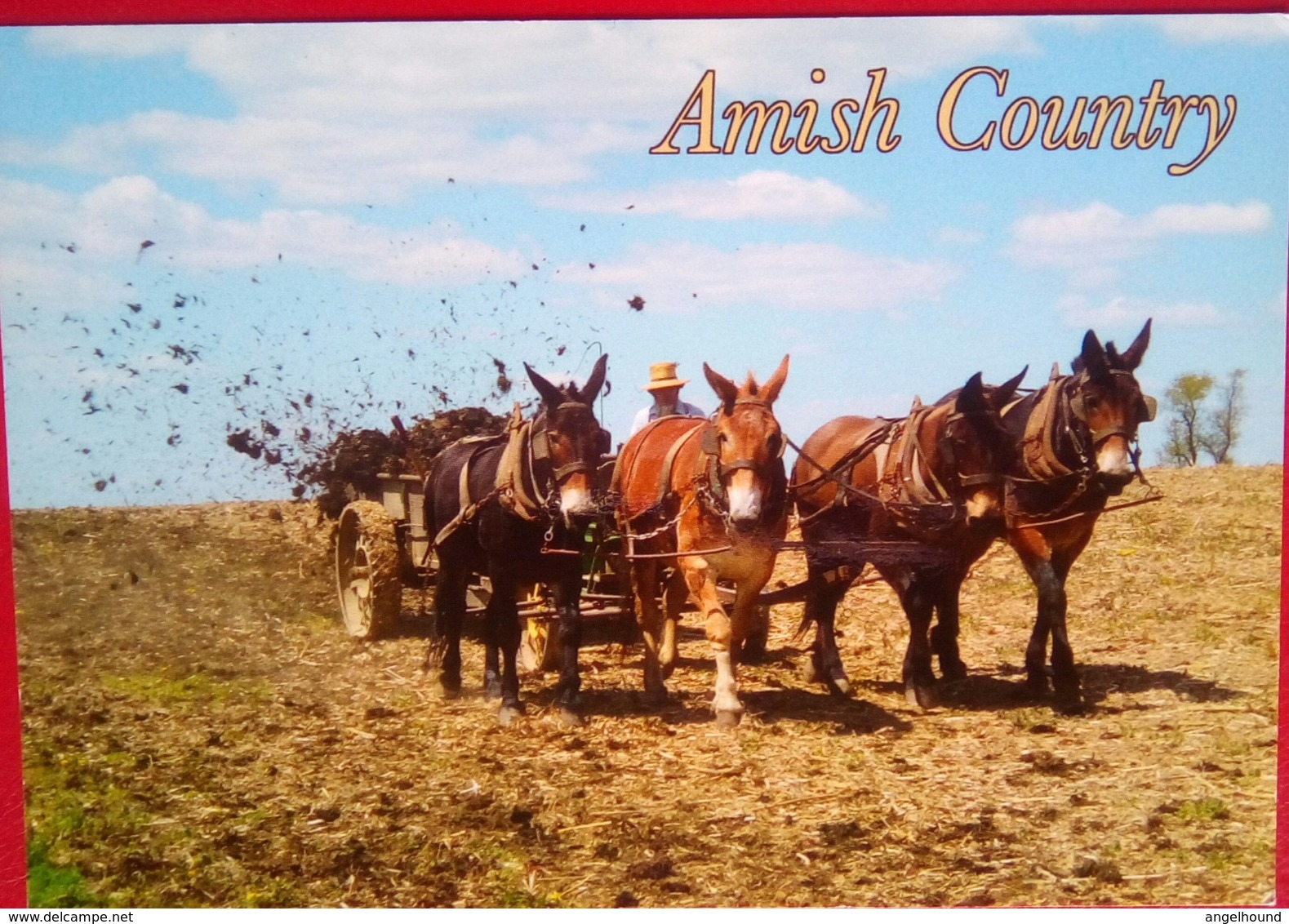 Amish Country - Lancaster