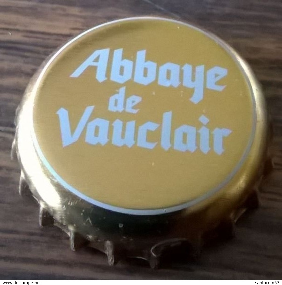 France Capsule Bière Beer Crown Cap Abbaye De Vauclair Dorée Avec Cercle Blanc - Bière