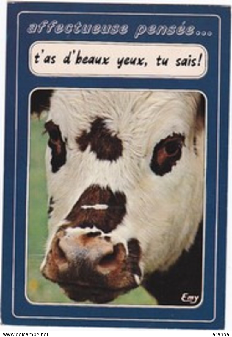 Vaches -- Lot de 53 cartes