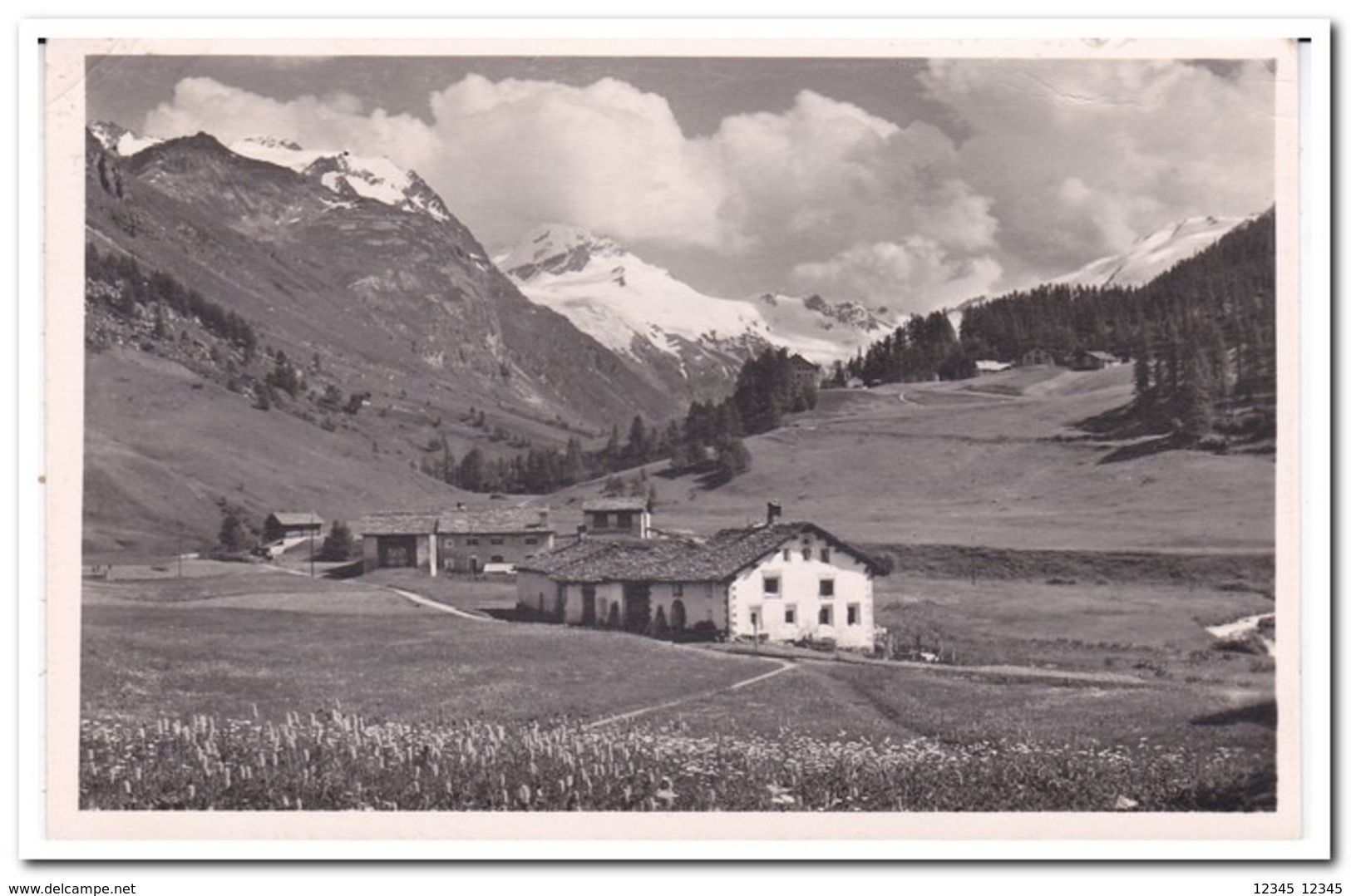 Fextal Im Ober-Engadin, Platta Mit Blick Auf Den Fexgletscher - Andere & Zonder Classificatie