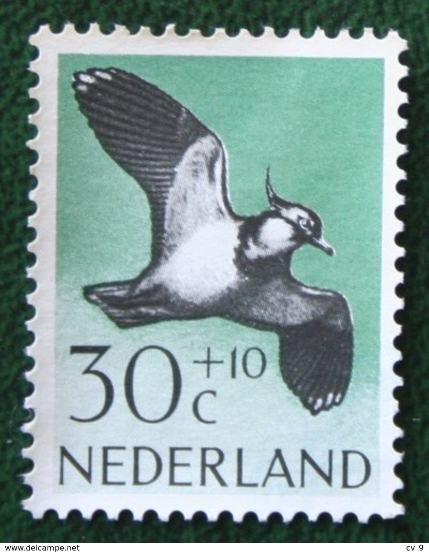 30 + 10 Ct Zomerzegel Summer Sommer BIRDS OISEAUX PAJARO NVPH 756 (Mi 764) 1961 Gestempeld  USED NEDERLAND / NIEDERLANDE - Gebraucht