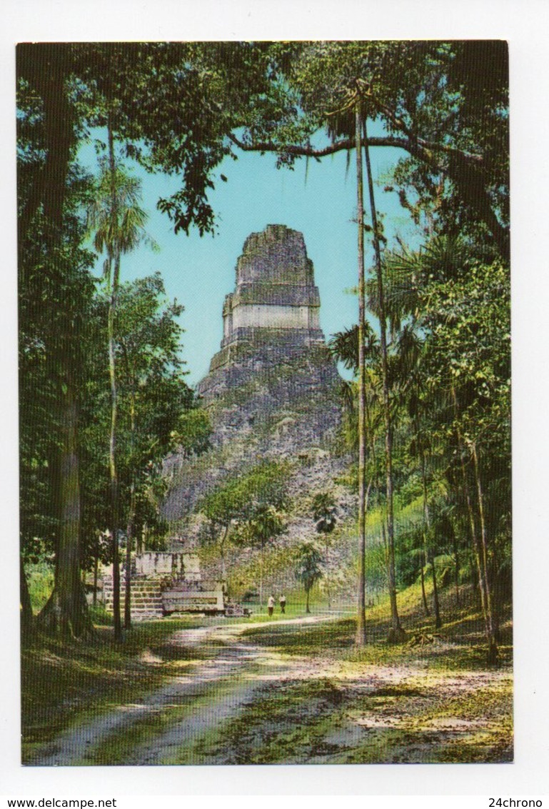 Guatemala: Templo Gran Jaguar, Tikal Peten, Temple (19-1726) - Guatemala