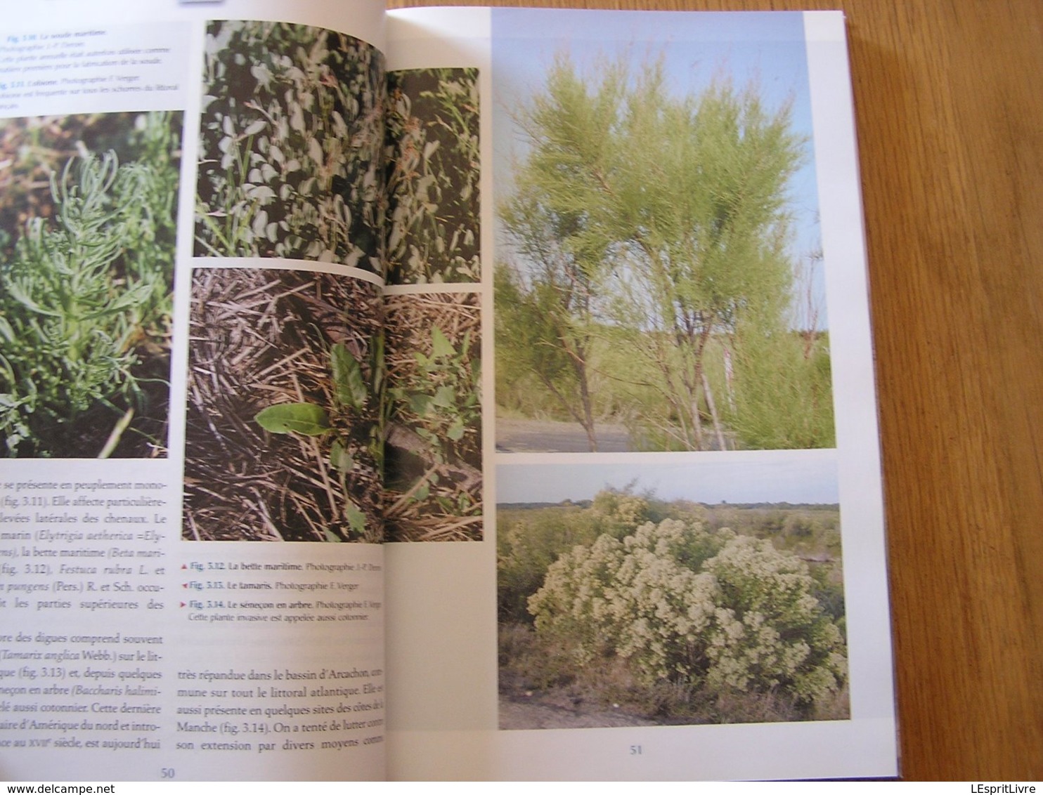 MARAIS ET ESTUAIRES DU LITTORAL FRANCAIS Régionalisme Wadden Arcachon Oléron Pertuis Mont Saint Michel Somme Dol Marée