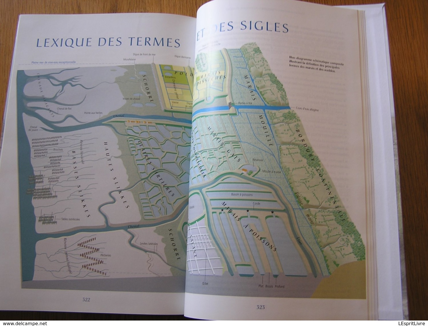 MARAIS ET ESTUAIRES DU LITTORAL FRANCAIS Régionalisme Wadden Arcachon Oléron Pertuis Mont Saint Michel Somme Dol Marée