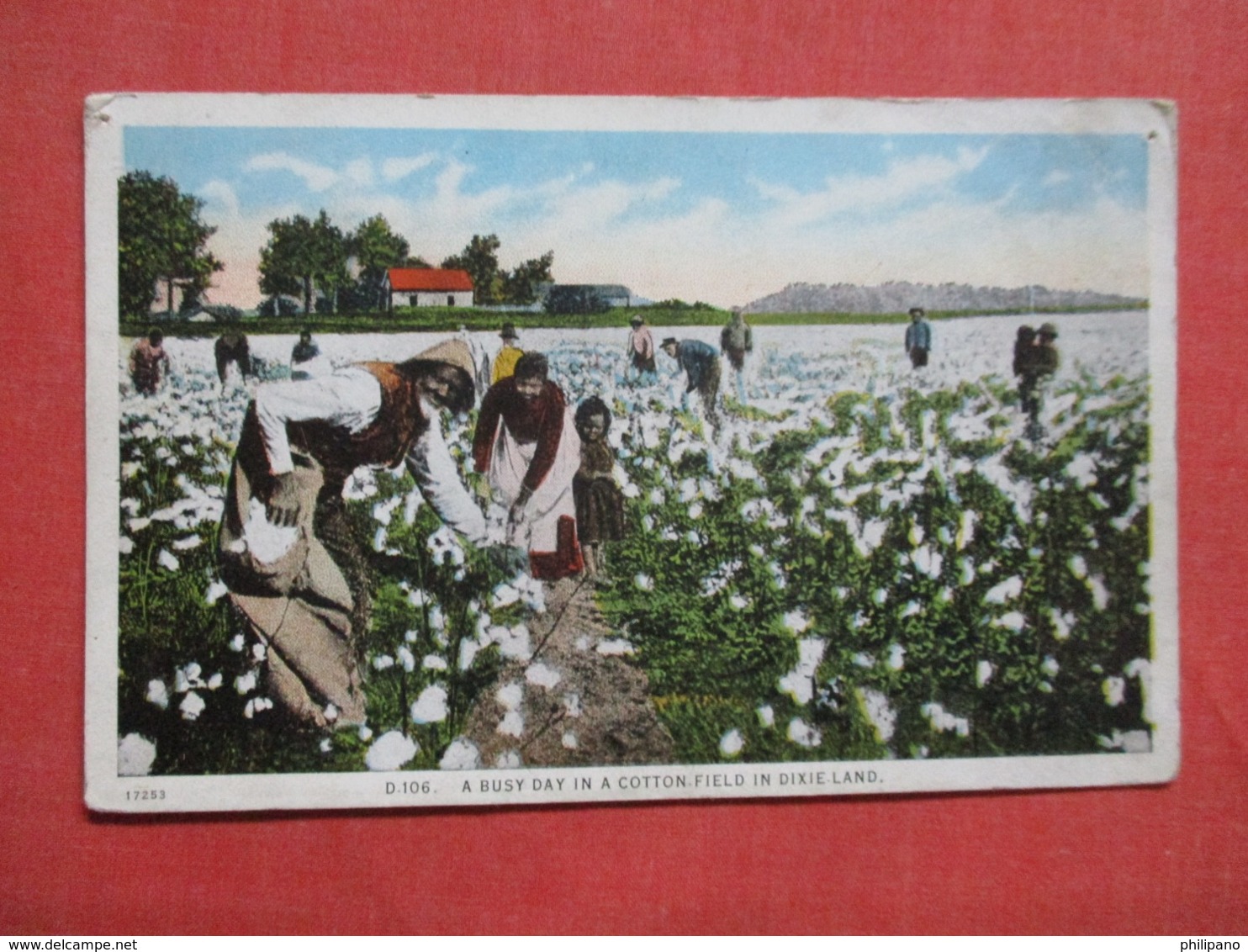 Black Americana  Busy Day In A Cotton Field In Dixie Land      Ref 3615 - Black Americana