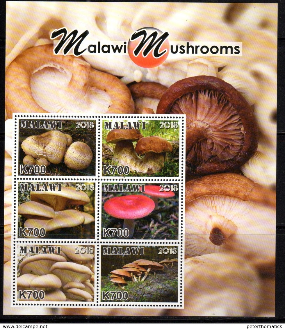 MALAWI, 2018, MNH, MUSHROOMS, SHEETLET+ 6 S/SHEETS - Mushrooms