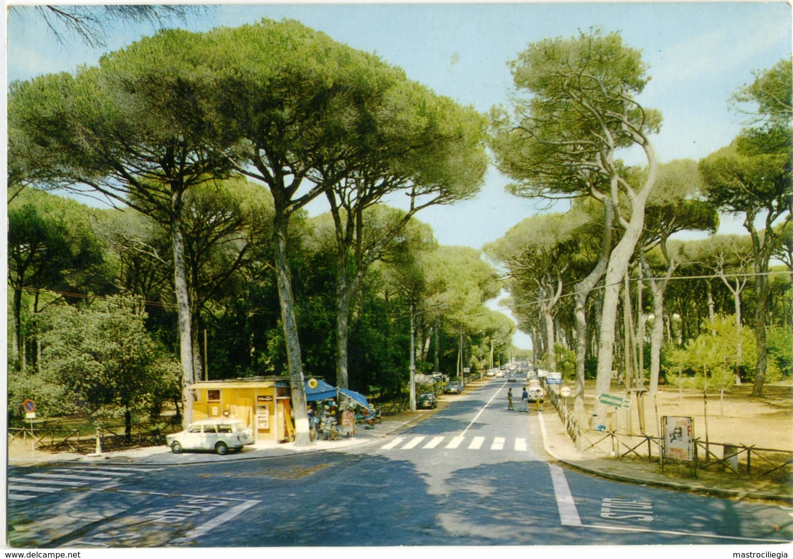 FREGENE  FIUMICINO  ROMA  Viale Della Pineta - Fiumicino