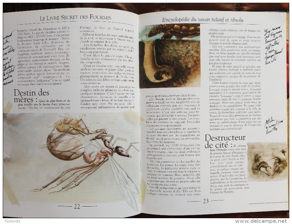 Bernard Werber - Le Livre Secret des FOURMIS - Albin Michel - ( 1995 ) .