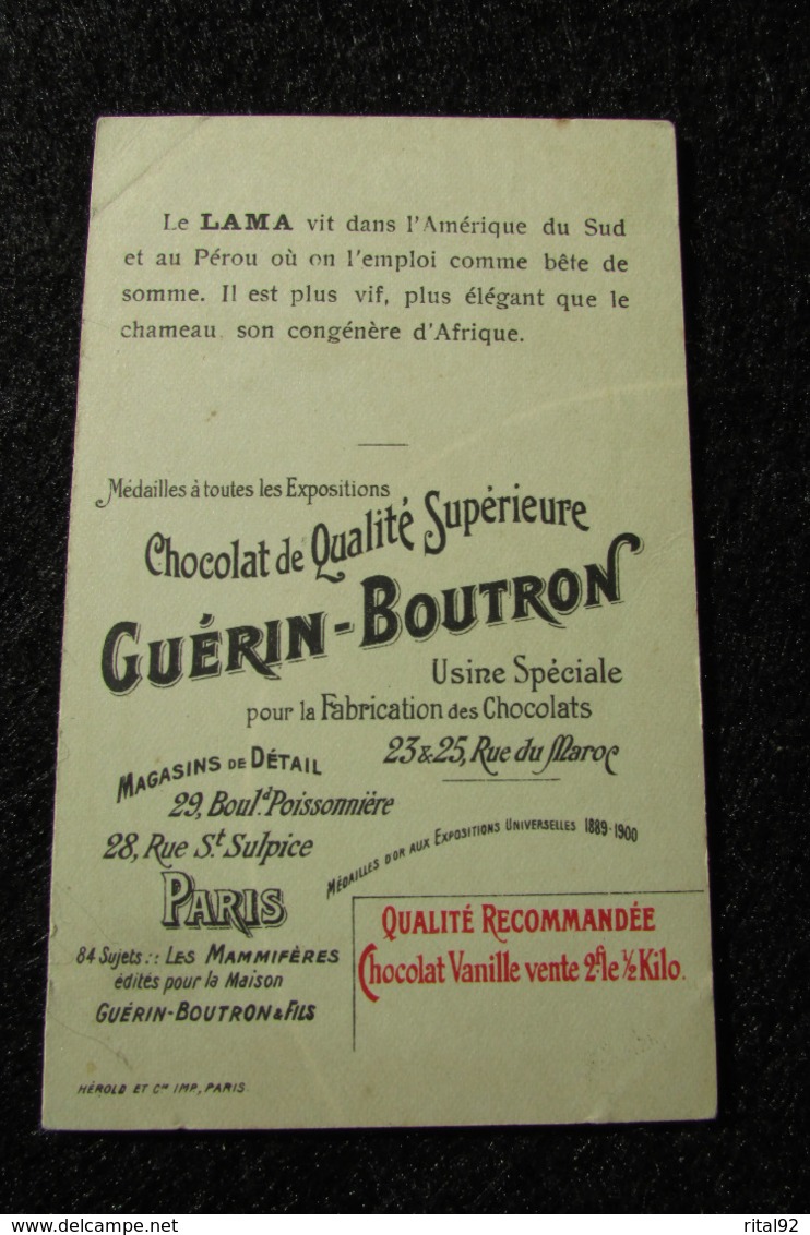 Chocolat GUERIN BOUTRON : Chromo Série "LES MAMMIFERES" - Guérin-Boutron