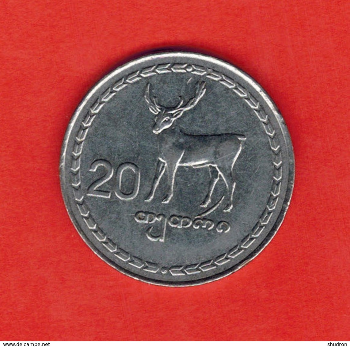 Georgia 20 Tetri, 1993 - Georgië