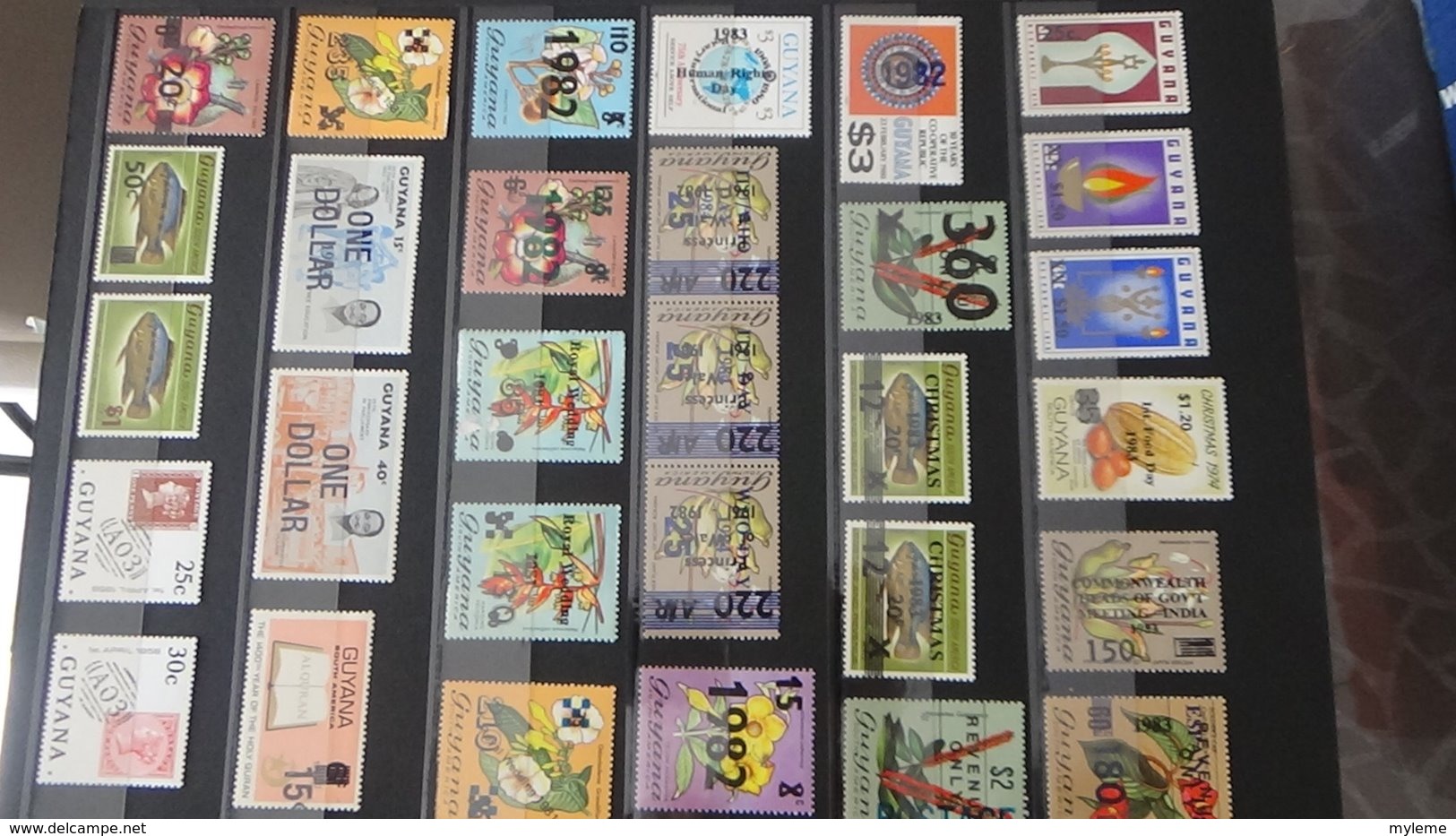 Belle Collection De GUYANE En Timbres Et Fins De Catalogue **. A Saisir !!! - Collections (en Albums)