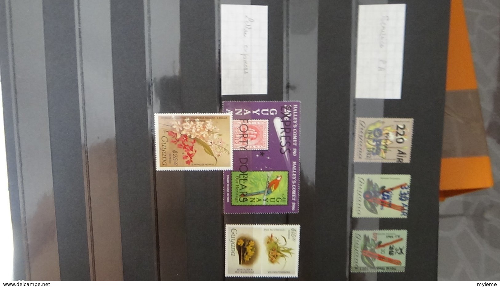 Belle collection de GUYANE en timbres et fins de catalogue **. A saisir !!!