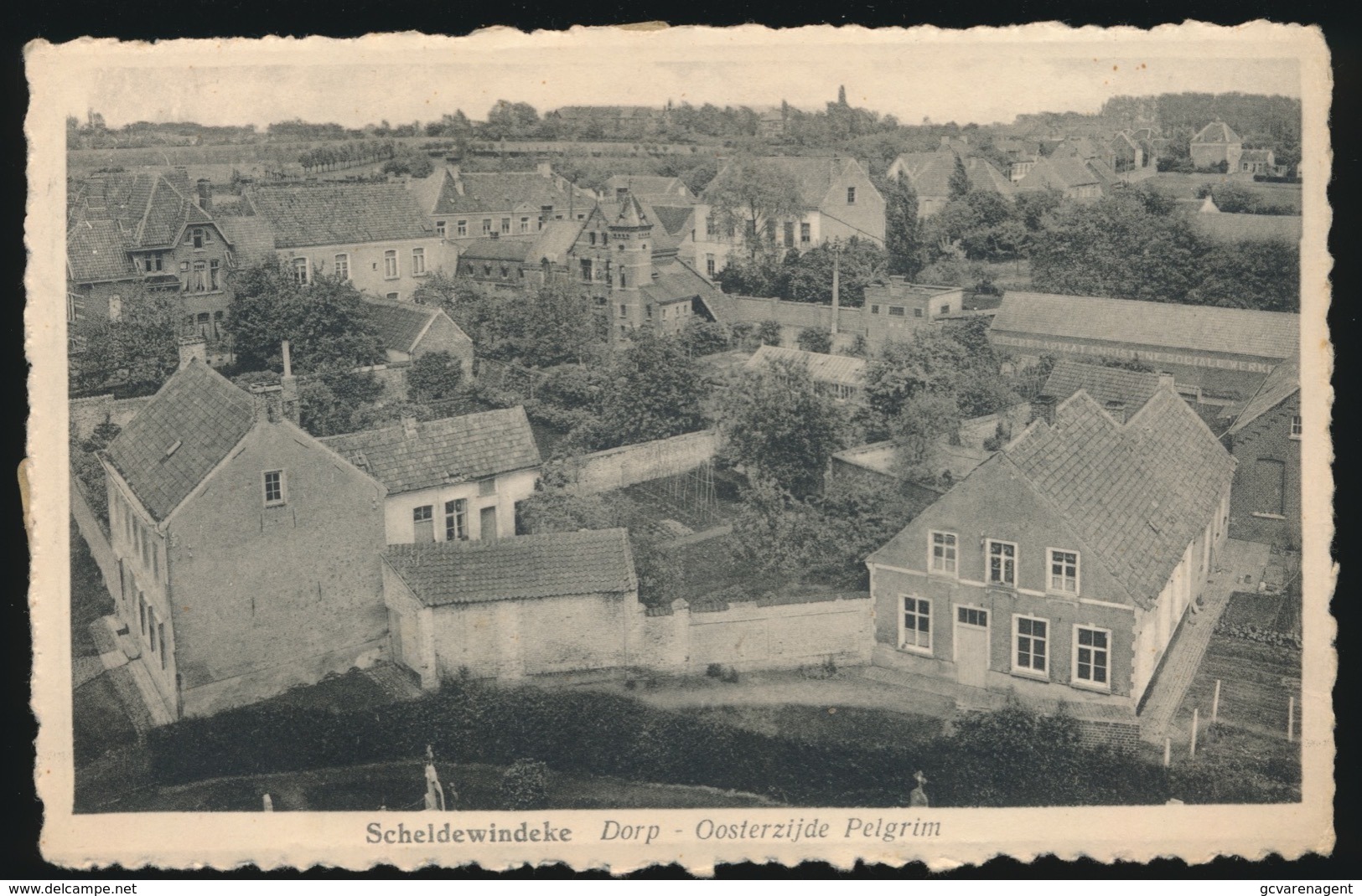 SCHELDEWINDEKEN   DORP  OOSTERZIJDE PELGRIM - Oosterzele