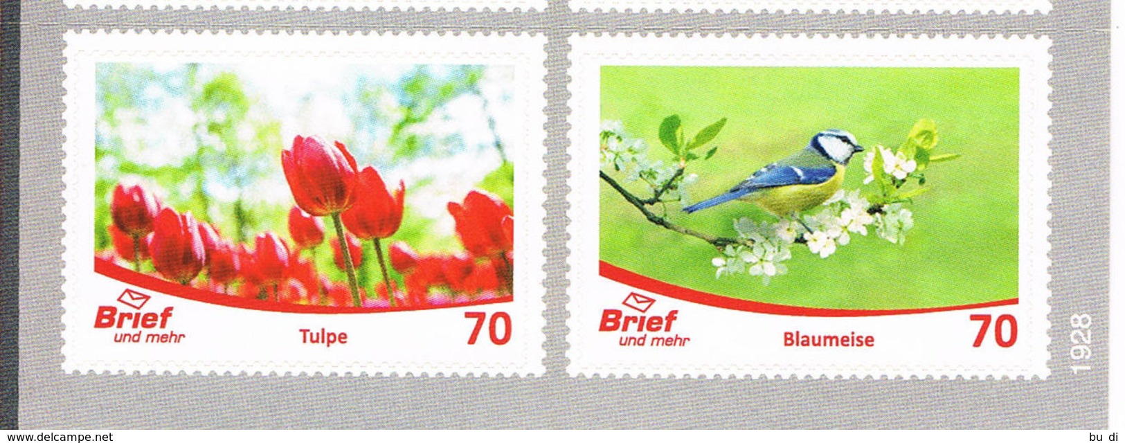 Privatpost Brief Und Mehr Münster: Markenpaar Tulpe - Blaumeise, Flowers, Birds - Private & Local Mails