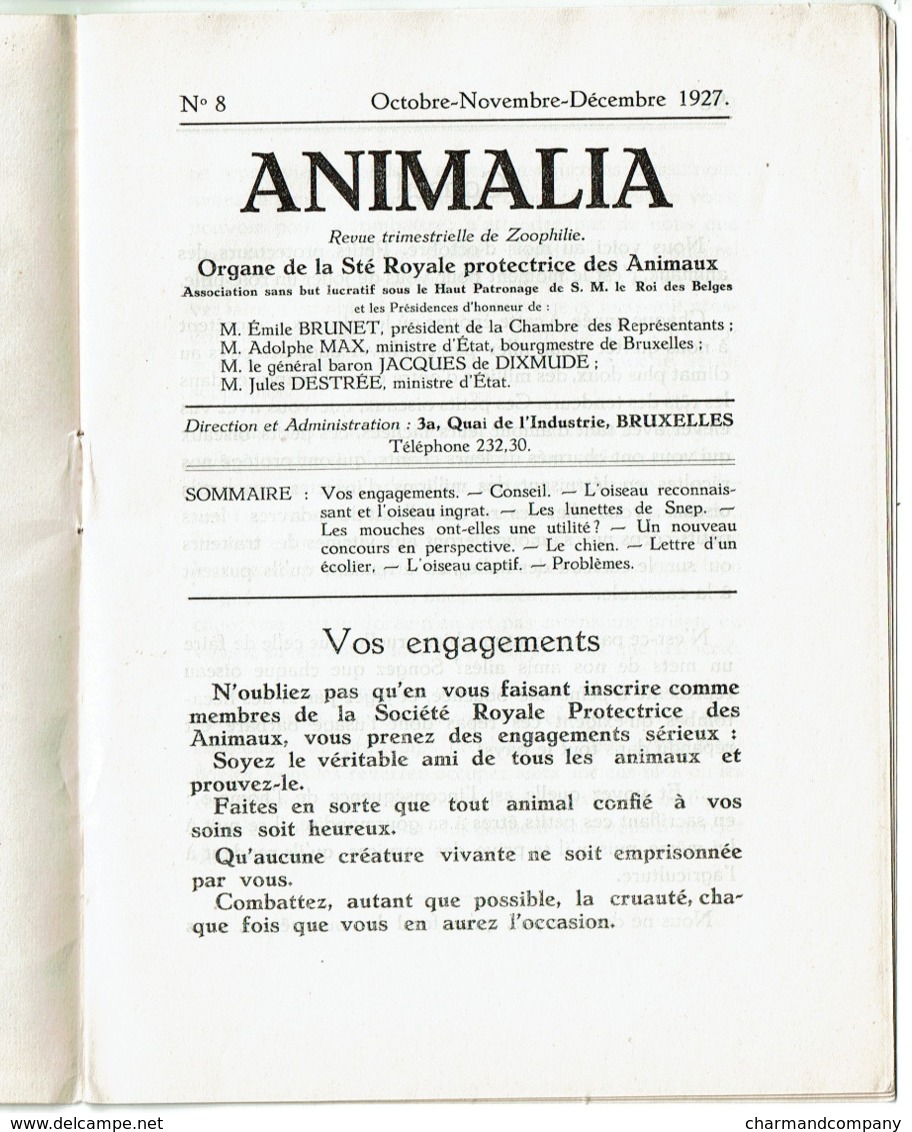 1927 Chien Bonzo G.E. Studdy Like, Superbe Illustration Animalia Scolaire - Société Royale Protectrice Des Animaux - Advertising