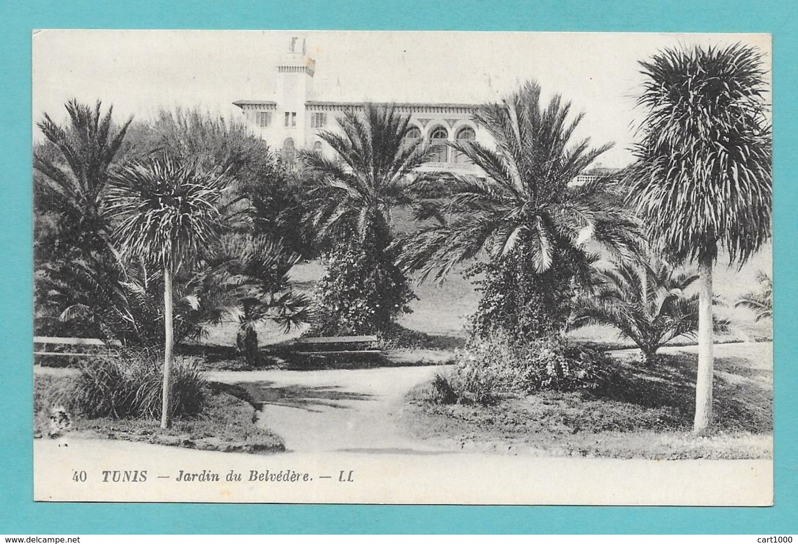 TUNIS JARDIN DU BELVEDERE - Tunisia